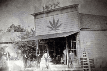 Michigan cannabis history