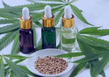 Michigan Active Medical Marijuana Patients in 2025.png