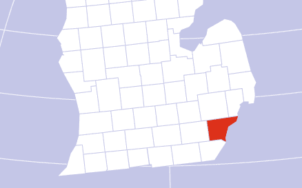 Wayne County Cannabis Overview